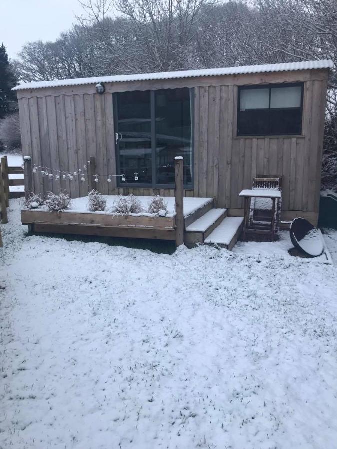Cefn Crib Cabins Machynlleth Εξωτερικό φωτογραφία