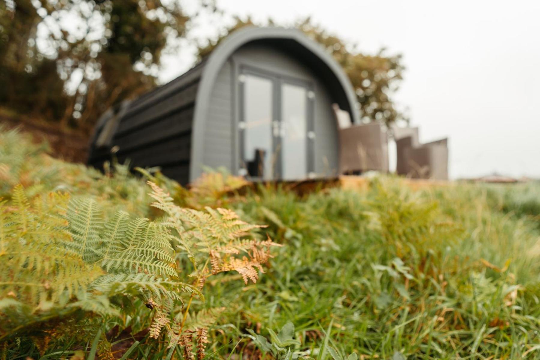 Cefn Crib Cabins Machynlleth Εξωτερικό φωτογραφία